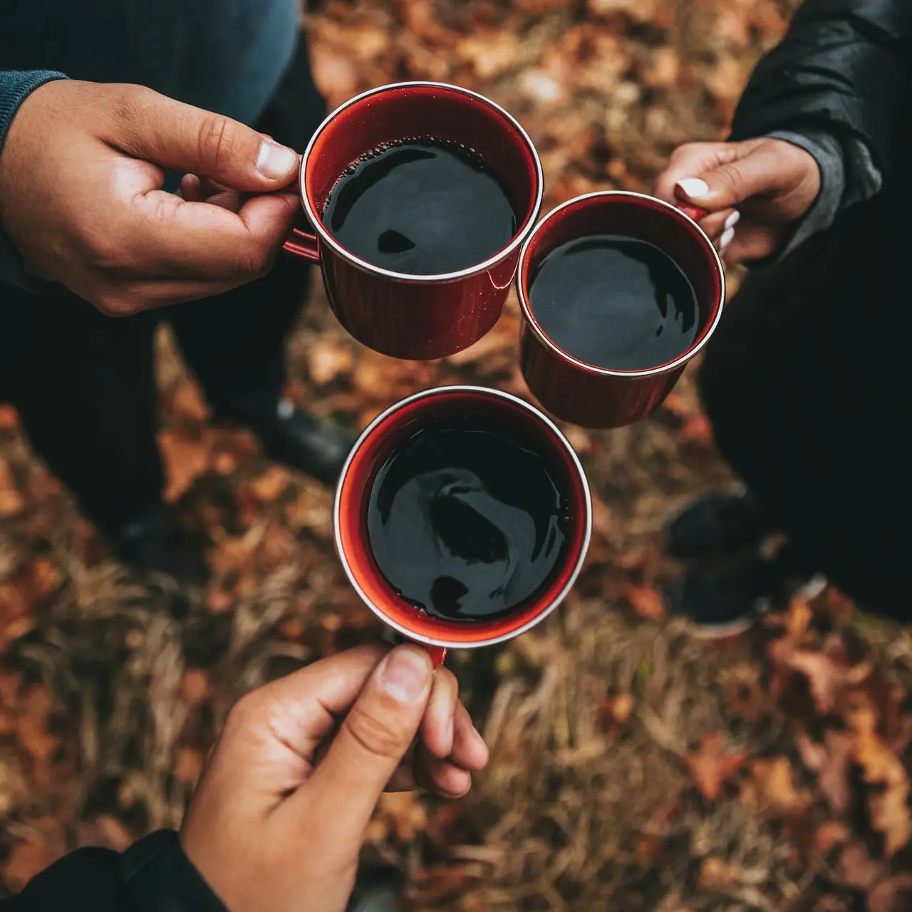 three person holding mugs while cheers - over a drink